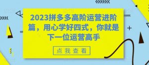 2023拼多多高阶运营进阶篇,用心学好四式,你就是下一位运营高手-淘金日记