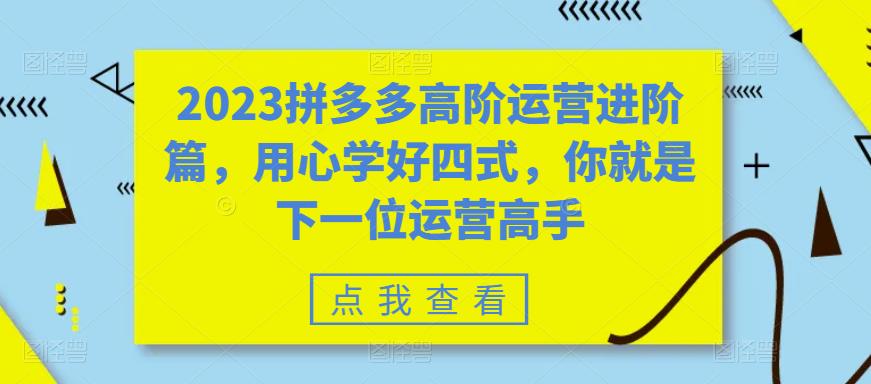 2023拼多多高阶运营进阶篇，用心学好四式，你就是下一位运营高手-淘金日记