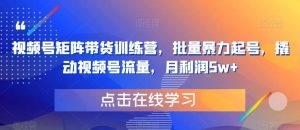 视频号矩阵带货训练营，批量暴力起号，撬动视频号流量，月利润5w+-淘金日记