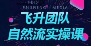飞升团队课程自然流实操课，抖音半无人起号主播间搭建教学-淘金日记