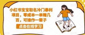 小红书宝宝取名冷门暴利项目,零成本一单赚几百,可操作一辈子-淘金日记