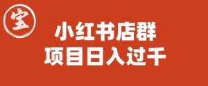 宝哥小红书店群项目,日入过千(图文教程)【揭秘】-淘金日记