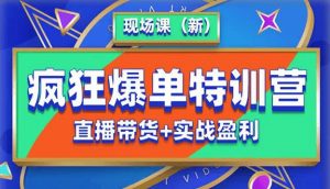 抖音短视频疯狂爆单特训营现场课（新）直播带货+实战案例-淘金日记