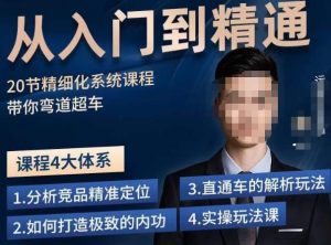 龙一·从入门到精通拼多多运营系列课,0-100的运营实操技巧,精细化系列课程带你弯道超车-淘金日记