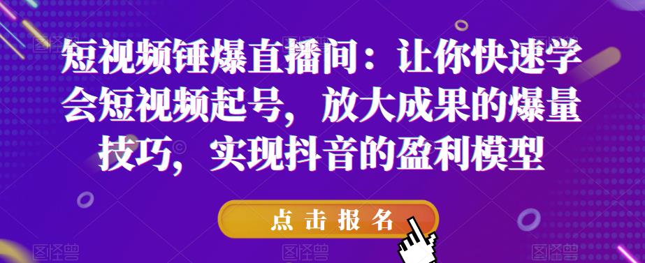 短视频锤爆直播间:让你快速学会短视频起号,放大成果的爆量技巧,实现抖音的盈利模型-淘金日记