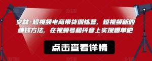 文林·短频视电商带训货练营,短视频的新赚钱方法,在视号频和抖音实上现爆单吧-淘金日记