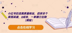小红书引流高质量粉丝,后续多个变现渠道,0成本,一单赚三位数【揭秘】-淘金日记