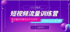 短视频流量训练营:百万操作手单月过千万的项目:抖音变现王中王能力超强-淘金日记