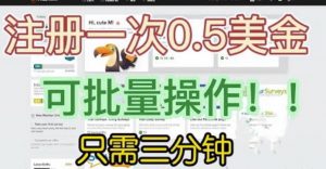 国外项目注册一次0.5美金,只需三分钟无脑操作,可批量同时放大操作,小白工作室福利【揭秘】-淘金日记