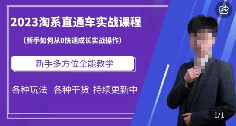 2023淘系直通车保姆式运营讲解，新手如何从0快速成长实战操作，新手多方位全能教学-淘金日记