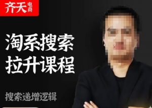 齐天电商·淘系搜索提升课程,搜索递增标准化,动销标准化流程-淘金日记