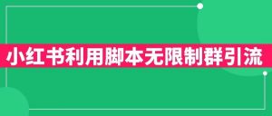 小红书利用脚本无限群引流日引创业粉300+【揭秘】-淘金日记