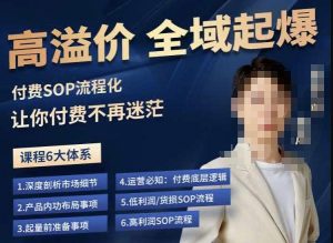 逸风-拼多多高溢价全域起爆，6大课程体系，付费玩法全套实操-淘金日记