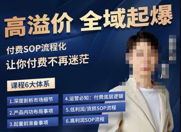 逸风-拼多多高溢价全域起爆，6大课程体系，付费玩法全套实操-淘金日记