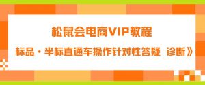 松鼠会电商VIP教程：松鼠《付费推广标品·半标直通车操作针对性答疑&诊断》-淘金日记