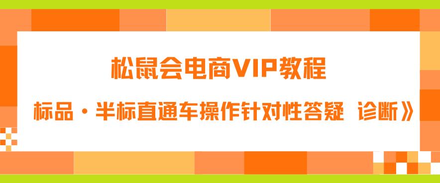 松鼠会电商VIP教程：松鼠《付费推广标品·半标直通车操作针对性答疑&诊断》-淘金日记