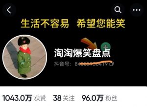 价值1000的搞笑盘点大V淘淘爆笑盘点详细课程+软件，中视频变现-淘金日记