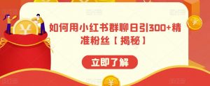 如何用小红书群聊日引300+精准粉丝【揭秘】-淘金日记