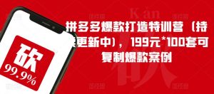 拼多多爆款打造特训营（持续更新中)，199元*100套可复制爆款案例-淘金日记