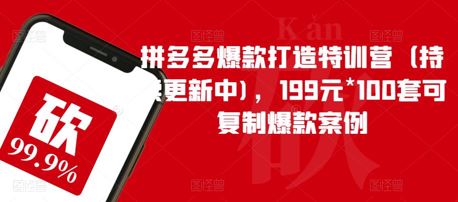 拼多多爆款打造特训营（持续更新中)，199元*100套可复制爆款案例-淘金日记