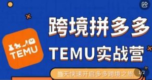 大鹏出海·拼多多跨境temu运营指导，开店注册+选品+核价上架，日出千单实战课-淘金日记