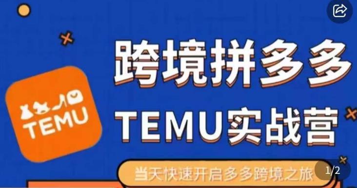 大鹏出海·拼多多跨境temu运营指导，开店注册+选品+核价上架，日出千单实战课-淘金日记