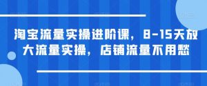 淘宝流量实操进阶课,8-15天放大流量实操,店铺流量不用愁-淘金日记
