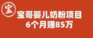 宝哥婴儿奶粉项目，6个月赚85w【图文非视频】【揭秘】-淘金日记