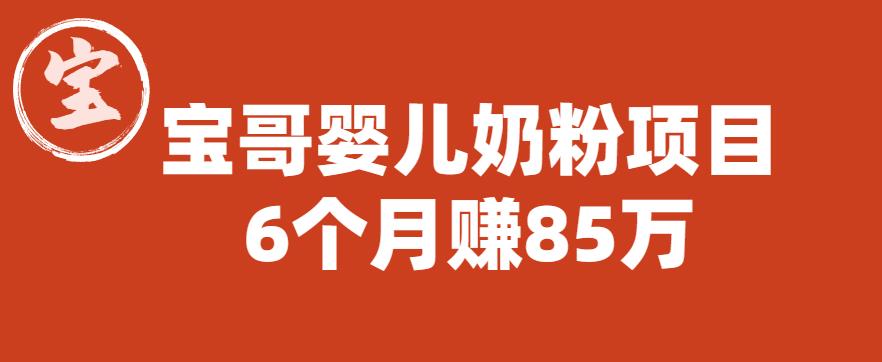 宝哥婴儿奶粉项目,6个月赚85w【图文非视频】【揭秘】-淘金日记
