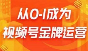 从0-1成为视频号金牌运营，微信运营/账号内容/选品组货/直播全案/起号策略，我们帮你在视频号赚到钱-淘金日记