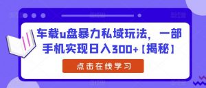 车载u盘暴力私域玩法,一部手机实现日入300+【揭秘】-淘金日记