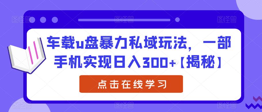 车载u盘暴力私域玩法,一部手机实现日入300+【揭秘】-淘金日记