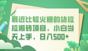 最近比较火爆的货拉拉搬砖项目，小白当天上手，日入500+【揭秘】-淘金日记