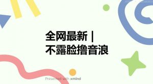 全网最新不露脸撸音浪,跑通自动化成交闭环,实现出单+收徒收益最大化【揭秘】-淘金日记