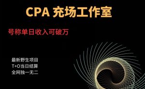 cpa充场工作室,号称单日收入10000+(揭秘)-淘金日记