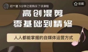 萌萌酱追剧高创混剪零基础到精通，人人都能掌握的自媒体运营方式-淘金日记