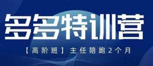 纪主任·5月最新多多特训营高阶班,玩法落地实操,多多全掌握-淘金日记
