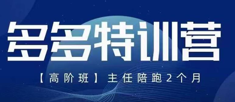 纪主任·5月最新多多特训营高阶班,玩法落地实操,多多全掌握-淘金日记