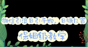 微信互推圈半自动引流方案,矩阵操作日引千人思路【详细视频教程】-淘金日记