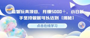 益智玩具项目,月赚5000+,小白新手坚持做就可以达到【揭秘】-淘金日记
