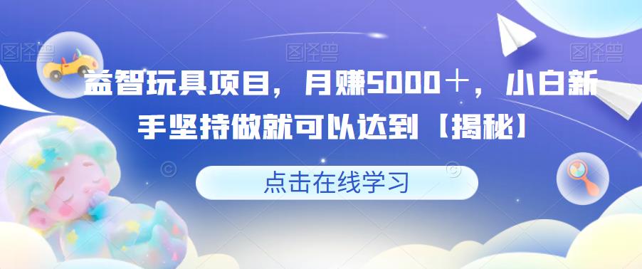 益智玩具项目，月赚5000＋，小白新手坚持做就可以达到【揭秘】-淘金日记