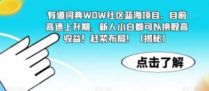 有道词典WOW社区蓝海项目,目前高速上升期,新人小白都可以换取高收益!赶紧布局!【揭秘】-淘金日记