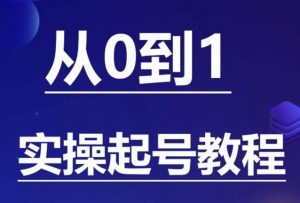 石野·小白起号实操教程,掌握各种起号的玩法技术,了解流量的核心-淘金日记