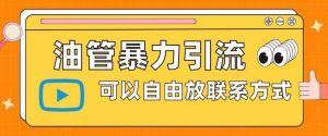 油管暴力引流，可以自由放联系方式【揭秘】-淘金日记