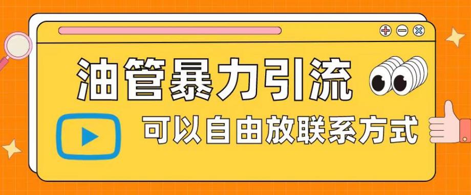 油管暴力引流，可以自由放联系方式【揭秘】-淘金日记