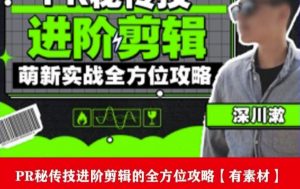 PR进阶剪辑培训班,让你快速成为剪辑大师12节视频课程+素材!-淘金日记