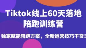 Tiktok线上60天落地陪跑训练营,独家赋能陪跑方案,全新运营技巧干货-淘金日记