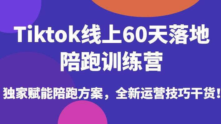 Tiktok线上60天落地陪跑训练营,独家赋能陪跑方案,全新运营技巧干货-淘金日记