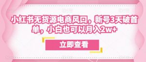 众狼电商余文小红书无货源电商风口，新号3天破首单，小白也可以月入2w+-淘金日记