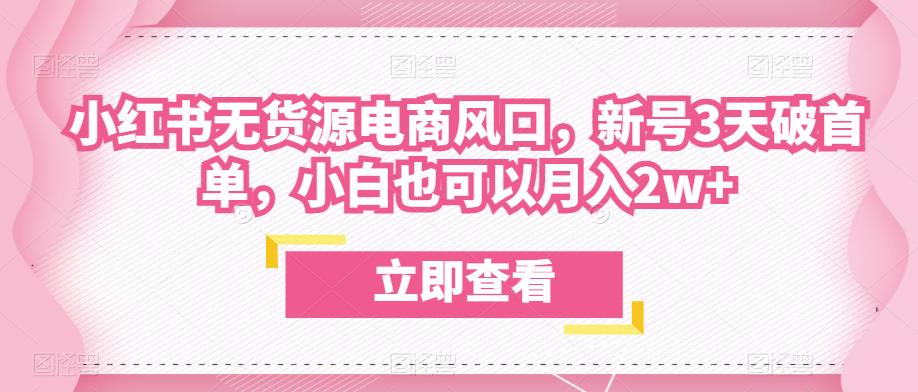众狼电商余文小红书无货源电商风口,新号3天破首单,小白也可以月入2w+-淘金日记